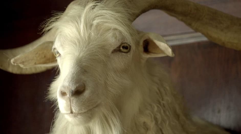 RAY WHITE DOUBLE BAY